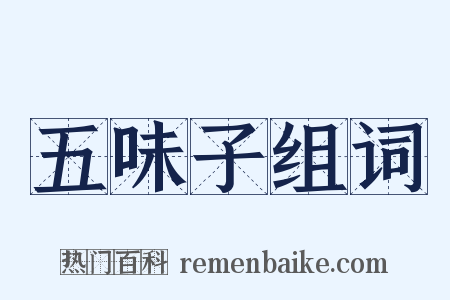 五味子组词是什么意思的图片